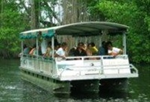 Black River Safari, Y.S. Falls & Appleton